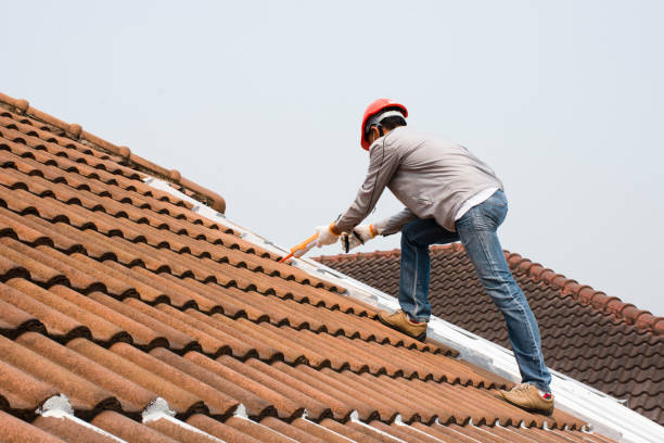 Best Roof Replacement  in Homewood, IL